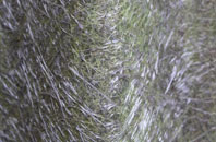 Carrickmore fibreglass roof work