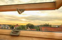 rated Carrickmore roof window companies